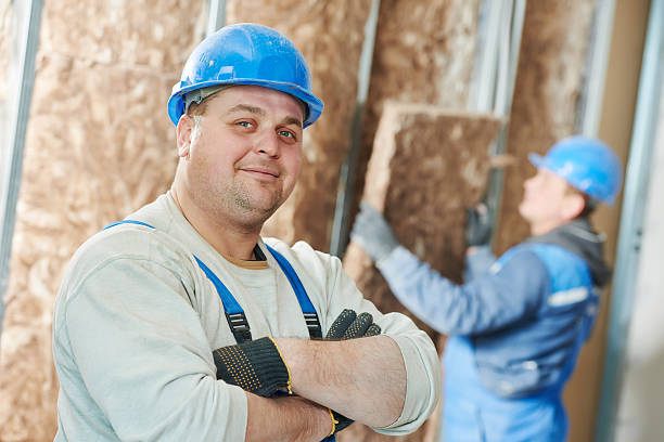 Best Insulation Maintenance and Repair in Cimarron Hills, CO